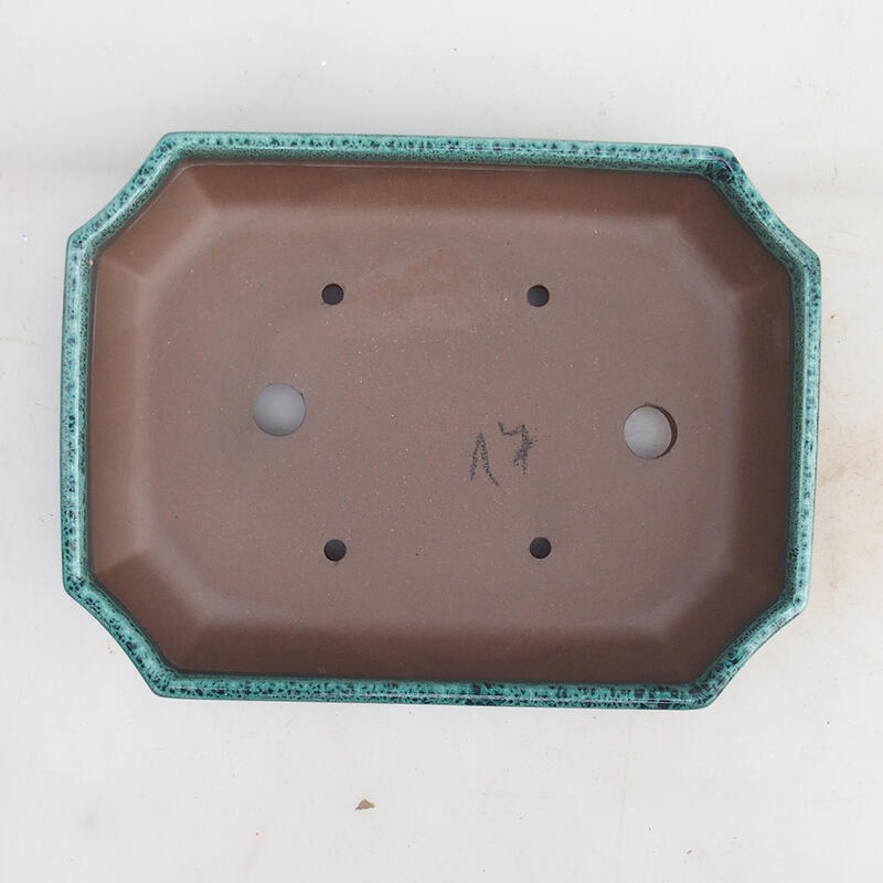 Cuenco bonsái 23 x 17,5 x 4,5 cm, verde