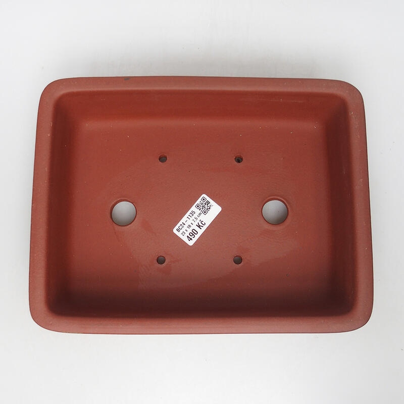 Cuenco bonsái 23 x 18 x 7,5 cm, color teja