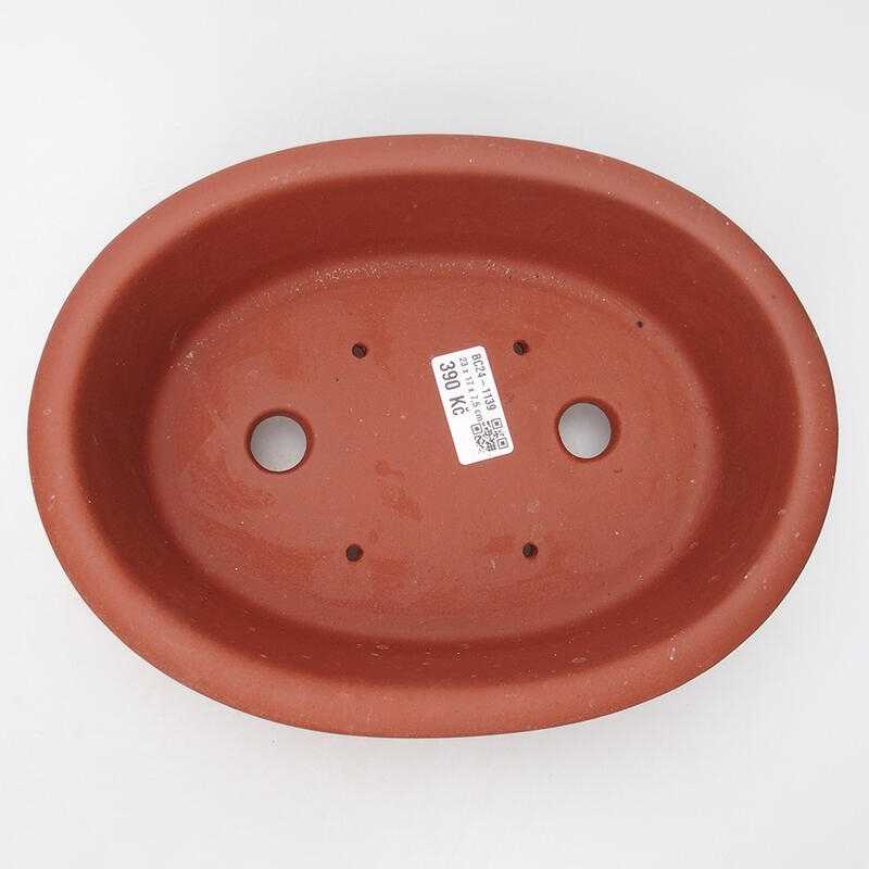 Cuenco bonsái 24 x 18 x 8 cm, color teja