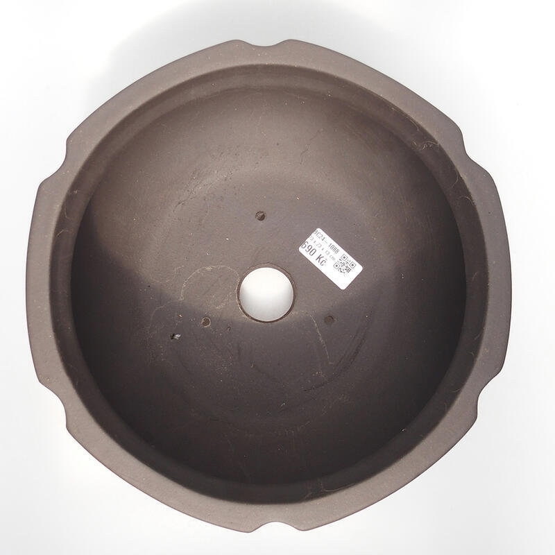 Cuenco bonsái 24 x 24 x 13,5 cm, marrón