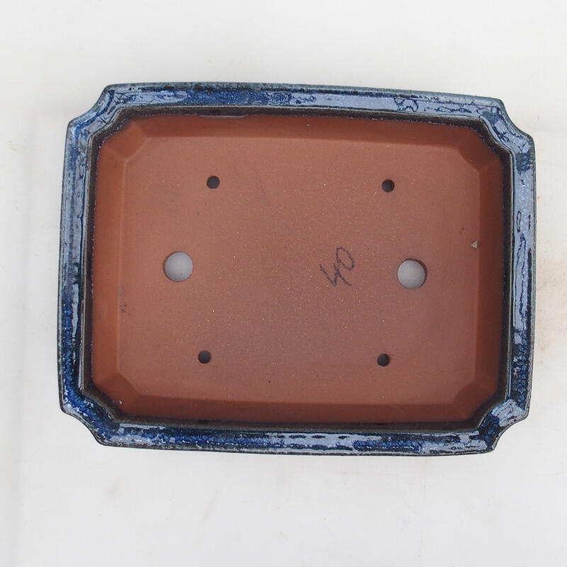 Cuenco bonsái 25 x 20 x 6 cm, color azul