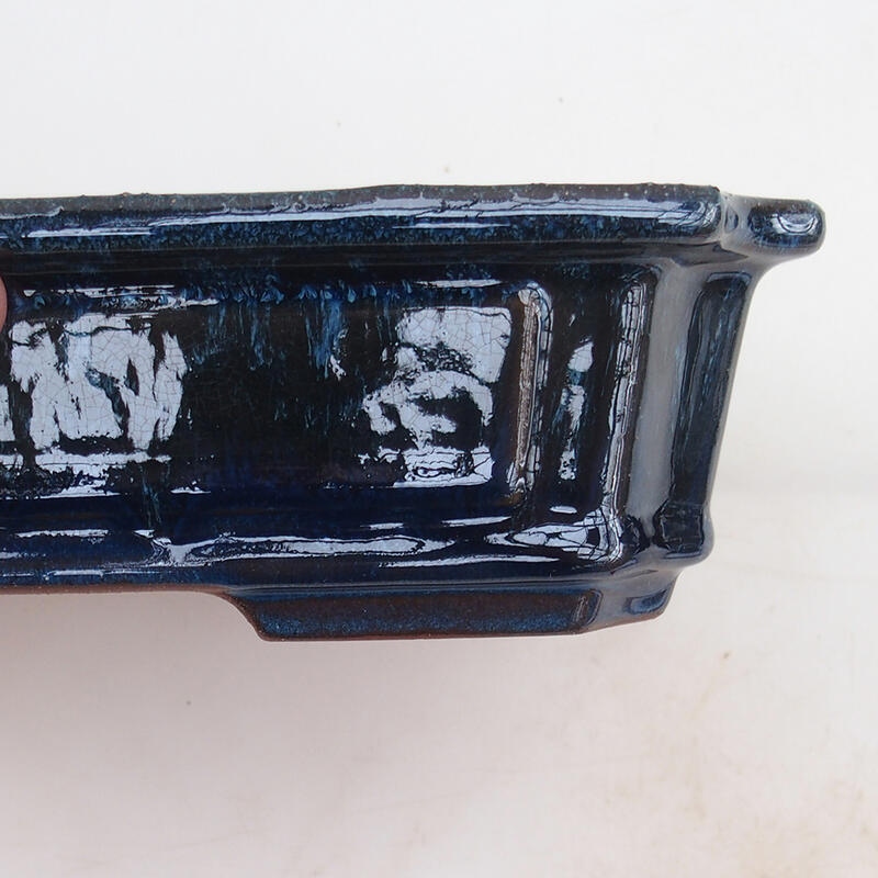 Cuenco bonsái 25 x 20 x 6 cm, color azul