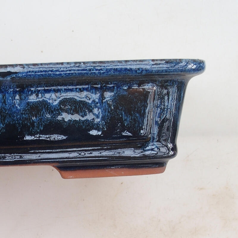 Cuenco bonsái 25 x 20 x 6 cm, color azul