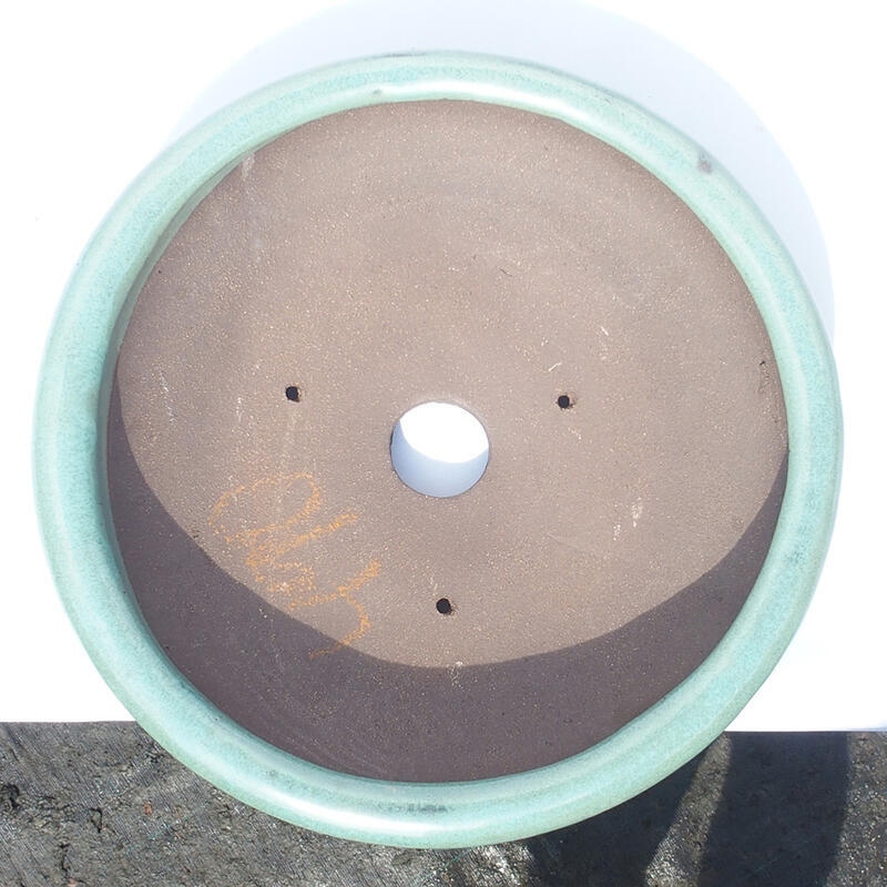 Cuenco bonsái 28 x 28 x 7 cm verde