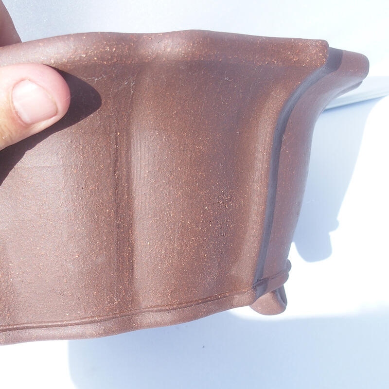 Cuenco bonsái 29 x 29 x 11,5 cm