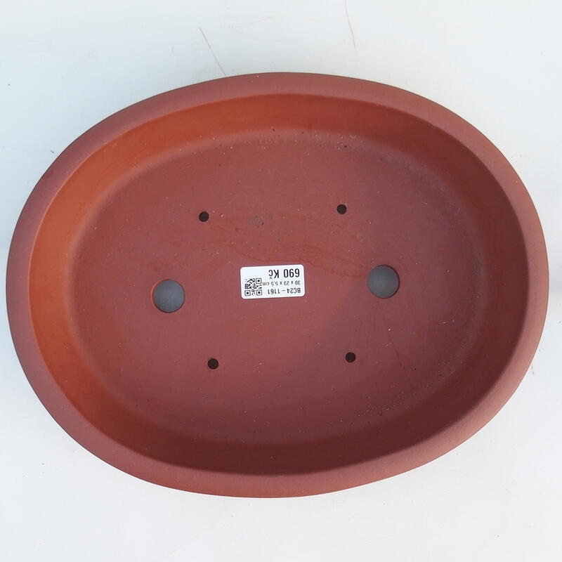 Cuenco bonsái 30,5 x 24 x 6 cm, color teja