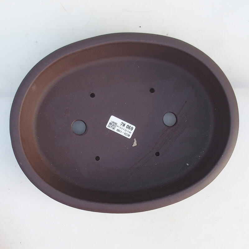 Cuenco bonsái 30,5 x 24 x 6 cm, marrón