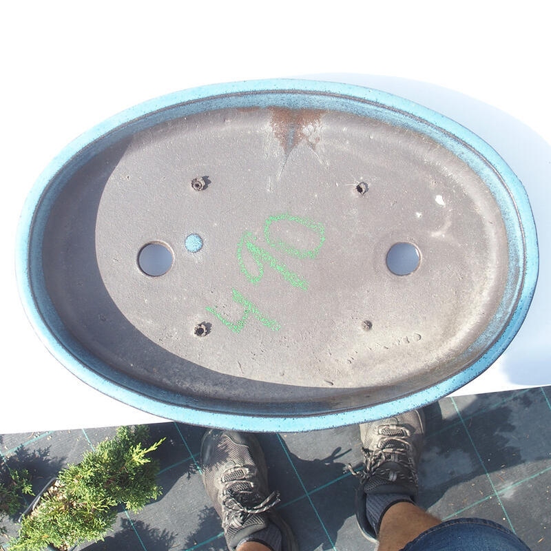 Cuenco bonsái 30 x 20 x 5 cm azul