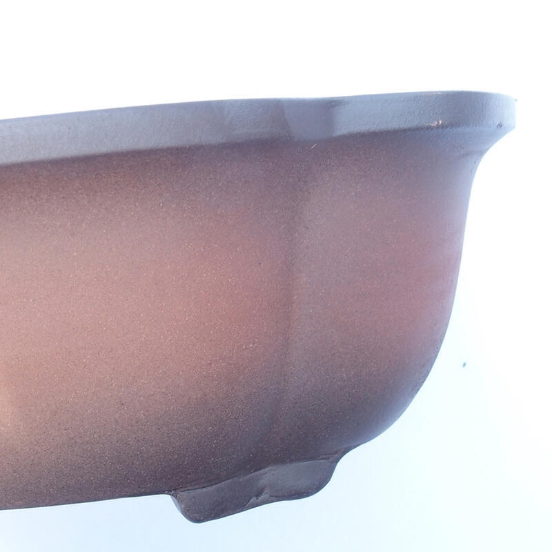Cuenco bonsái 30 x 22 x 10 cm
