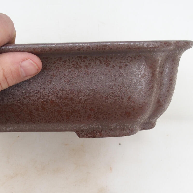 Cuenco bonsái 30 x 24,5 x 8 cm, color natural