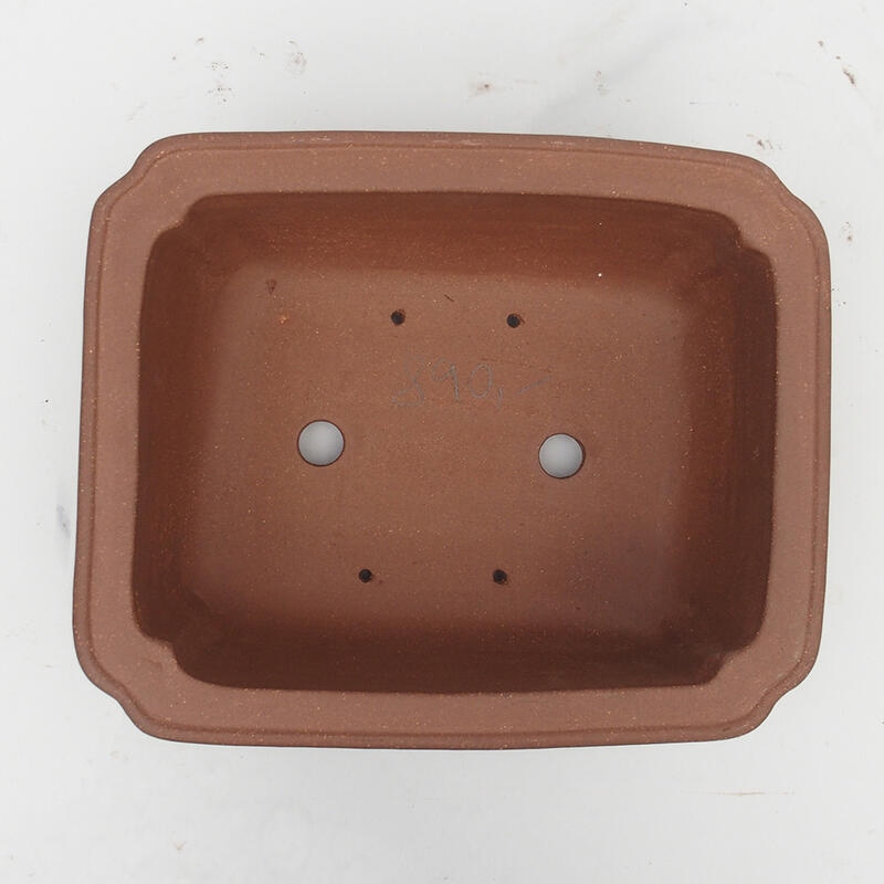 Cuenco para bonsái 30 x 24 x 12 cm - calidad japonesa