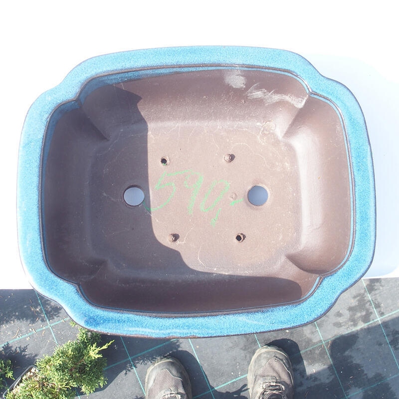 Cuenco bonsái 30 x 25 x 10 cm azul