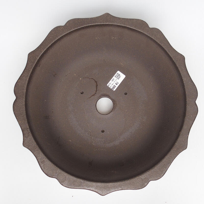 Cuenco bonsái 30 x 30 x 12 cm, color ocre parduzco