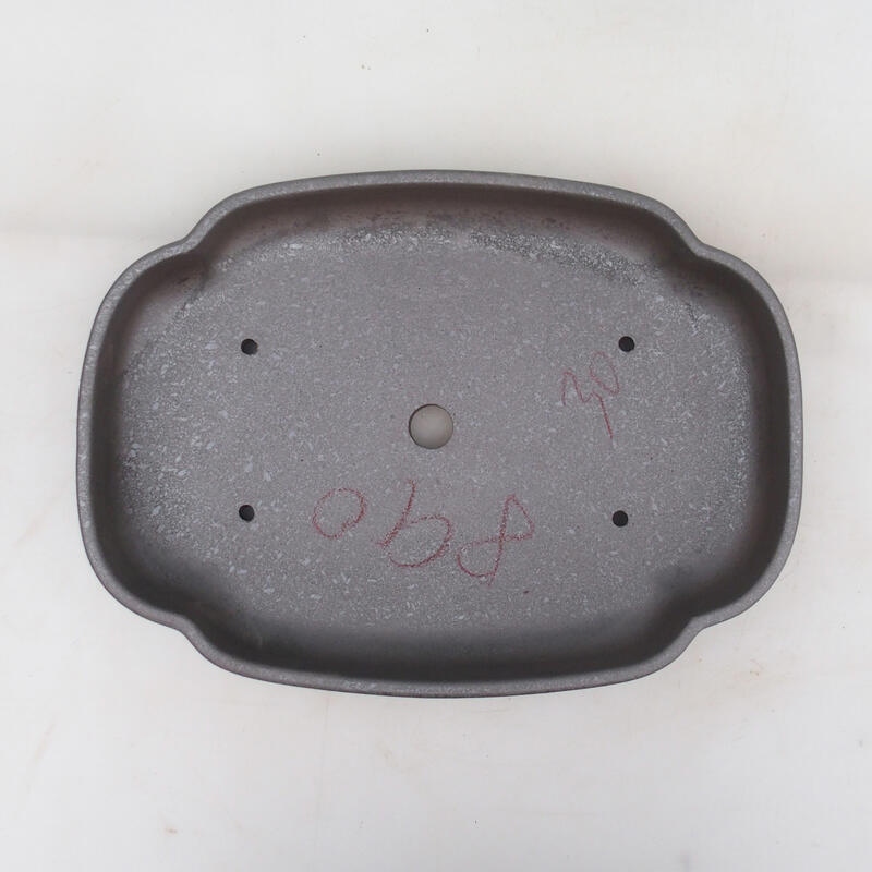 Cuenco bonsái 31 x 23 x 5,5 cm, color natural