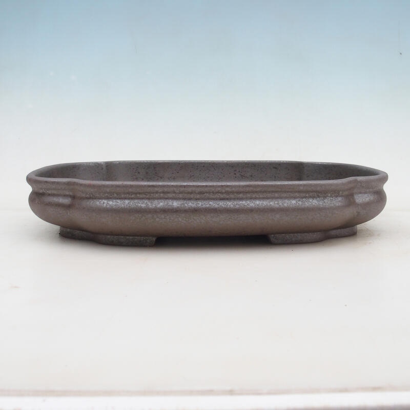 Cuenco bonsái 31 x 23 x 5,5 cm, color natural