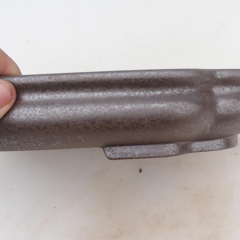 Cuenco bonsái 31 x 23 x 5,5 cm, color natural