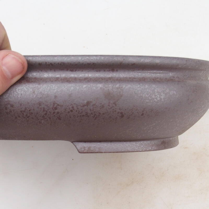 Cuenco bonsái 31 x 23 x 6,5 cm, color natural