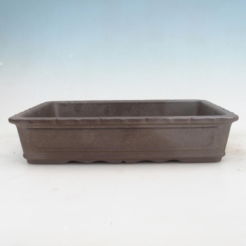 Cuenco bonsái 31 x 23 x 6,5 cm, color natural