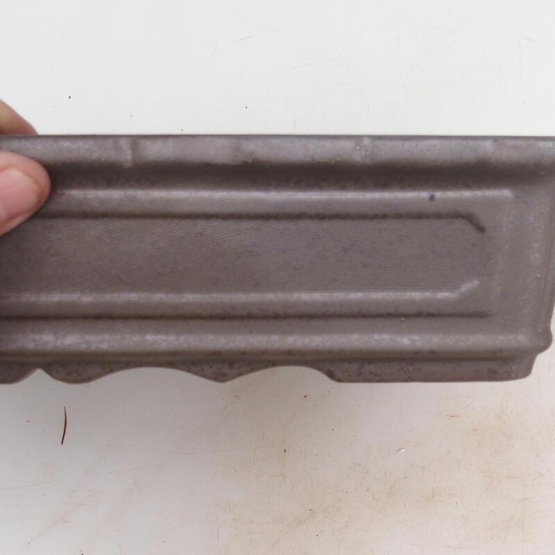 Cuenco bonsái 31 x 23 x 6,5 cm, color natural