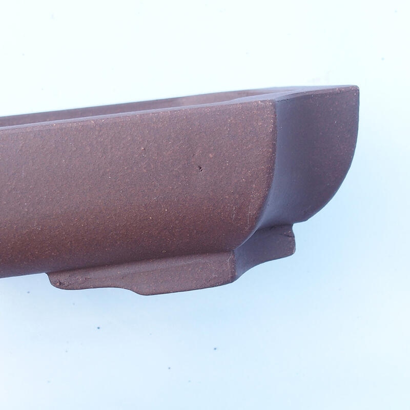 Cuenco bonsái 31 x 23 x 7 cm