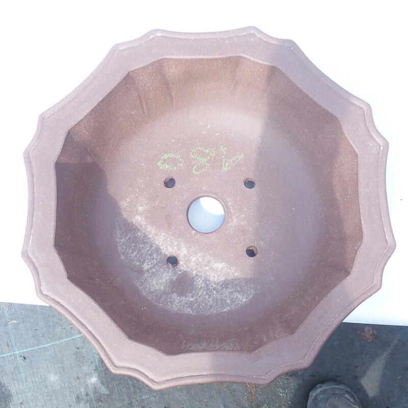 Cuenco bonsái 31 x 31 x 9 cm