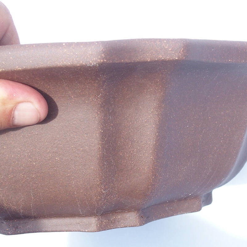 Cuenco bonsái 31 x 31 x 9 cm