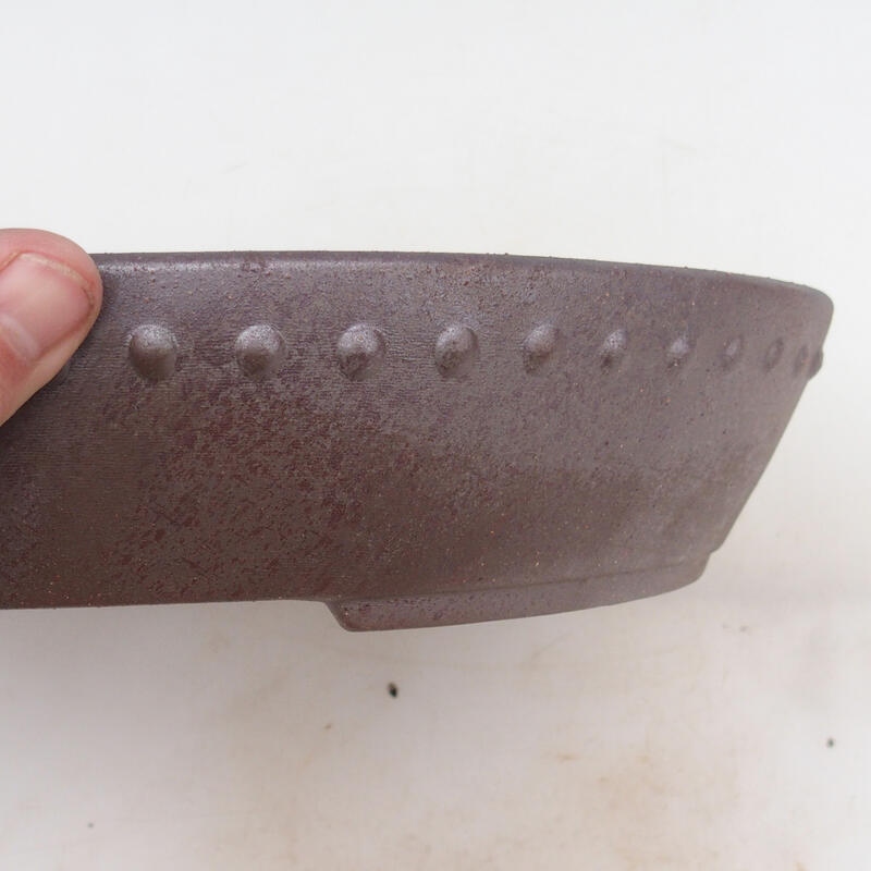 Cuenco bonsái 33 x 26 x 5,5 cm, color natural