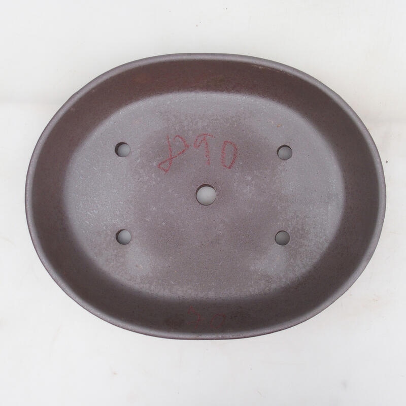 Cuenco bonsái 33 x 26 x 5,5 cm, color natural