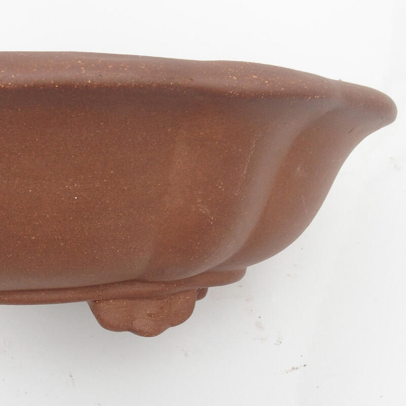 Cuenco para bonsái 33 x 29 x 11 cm - calidad japonesa