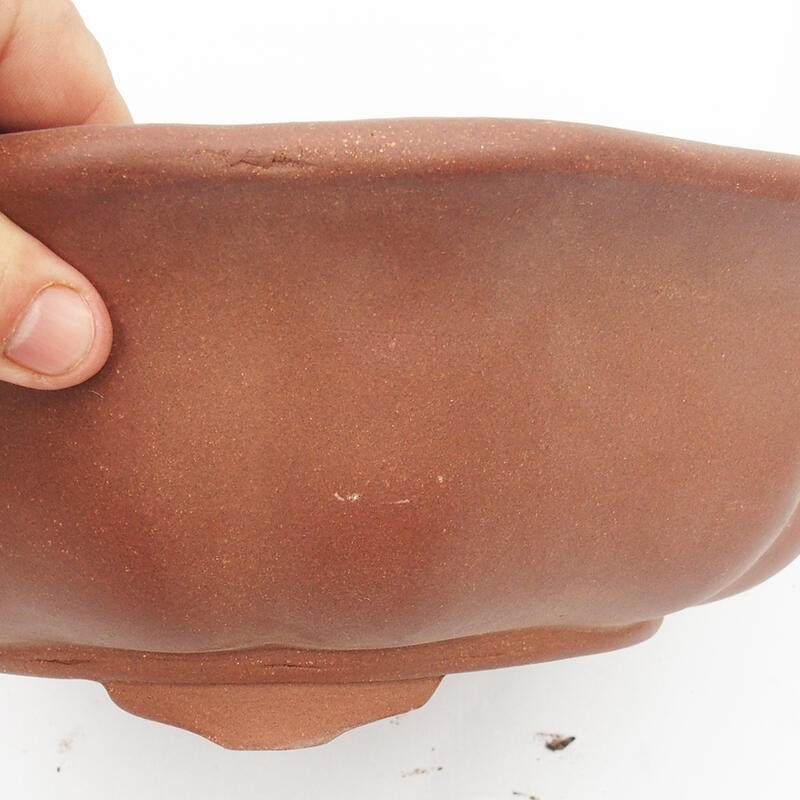 Cuenco para bonsái 33 x 33 x 10 cm - calidad japonesa