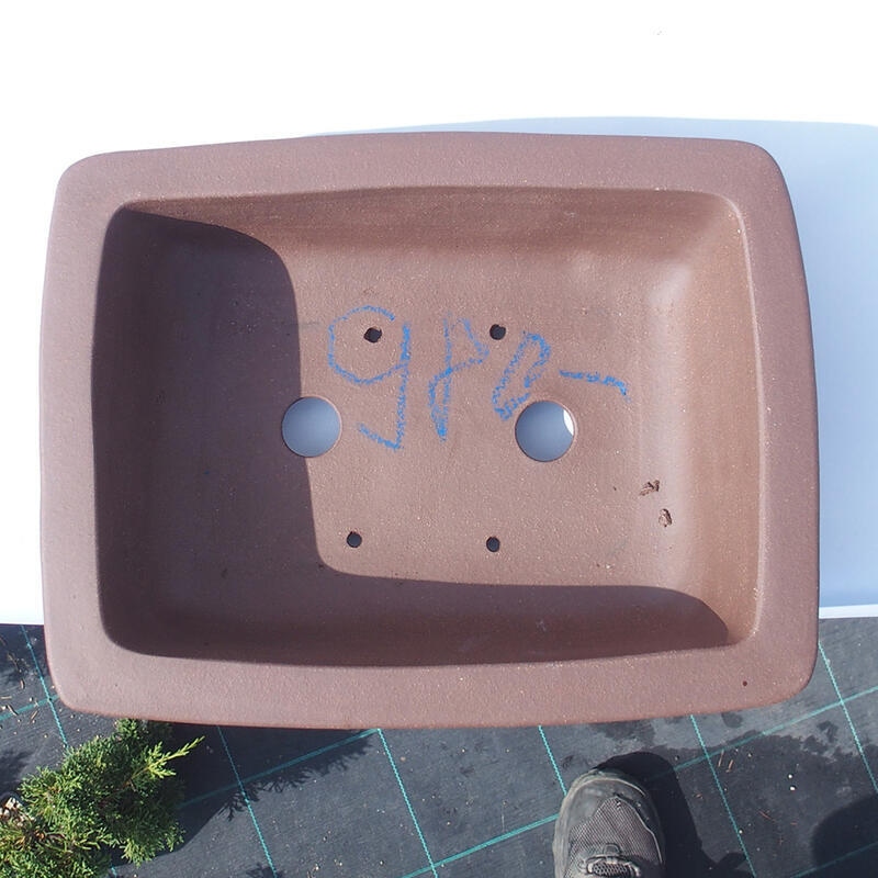 Cuenco bonsái 34 x 27 x 9,5 cm