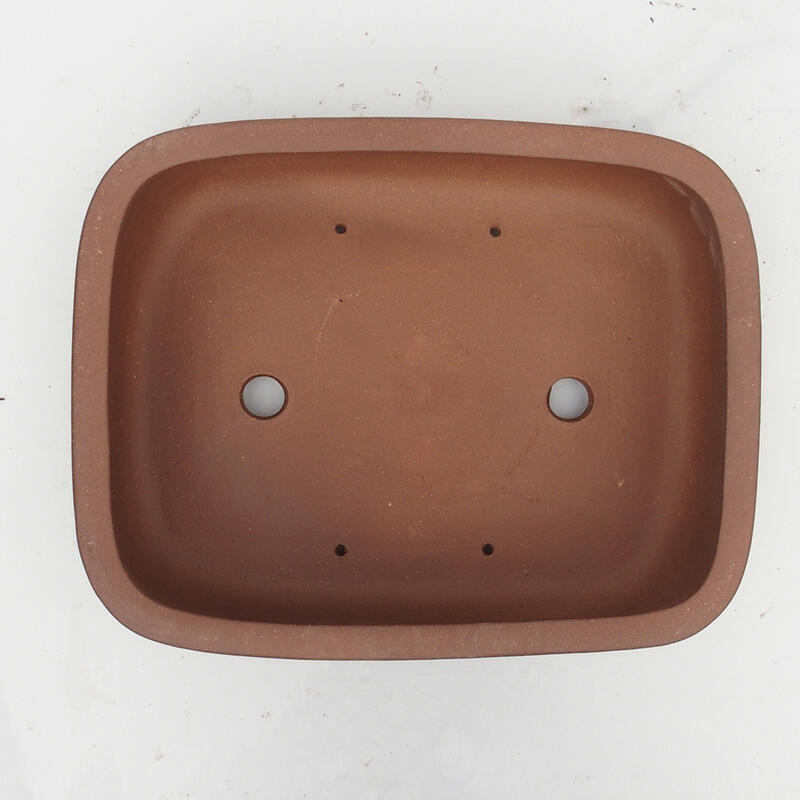 Cuenco para bonsái 34 x 27 x 9 cm - calidad japonesa