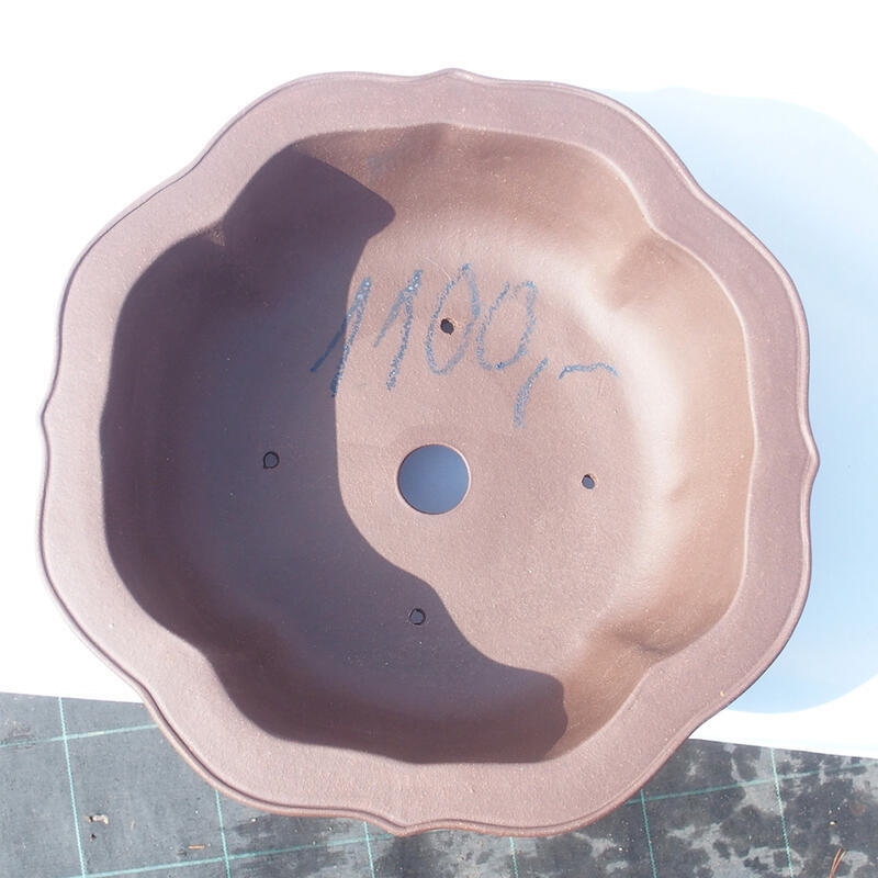 Cuenco bonsái 34 x 34 x 11 cm