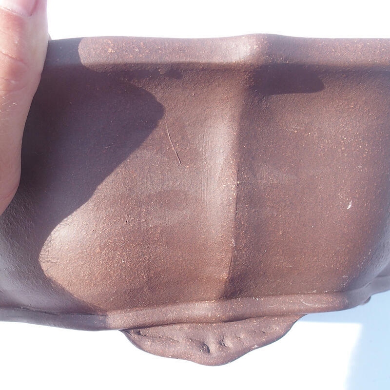 Cuenco bonsái 34 x 34 x 11 cm