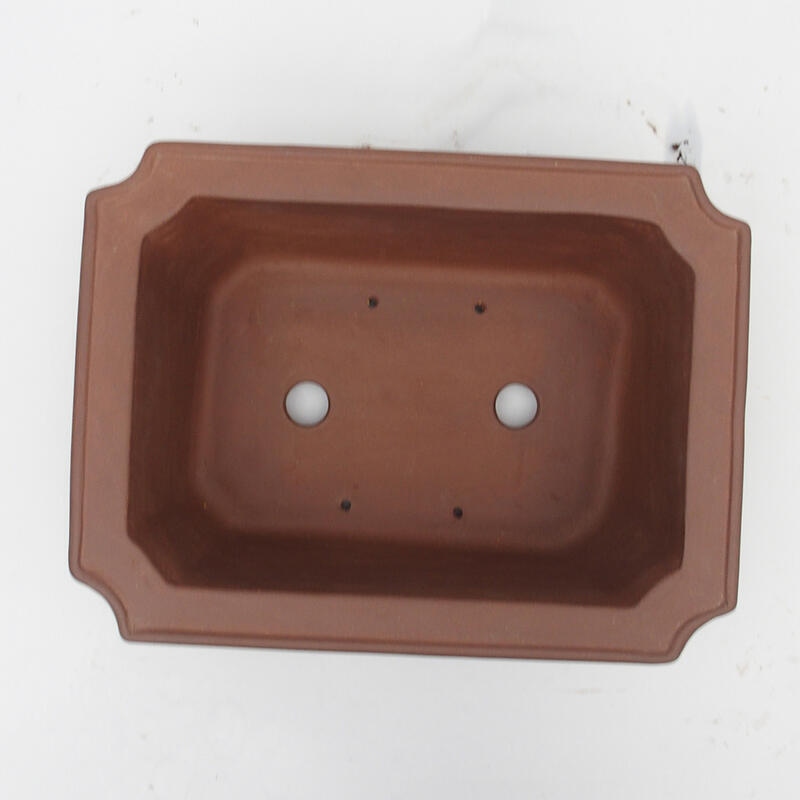 Cuenco para bonsái 35 x 26 x 12 cm - calidad japonesa