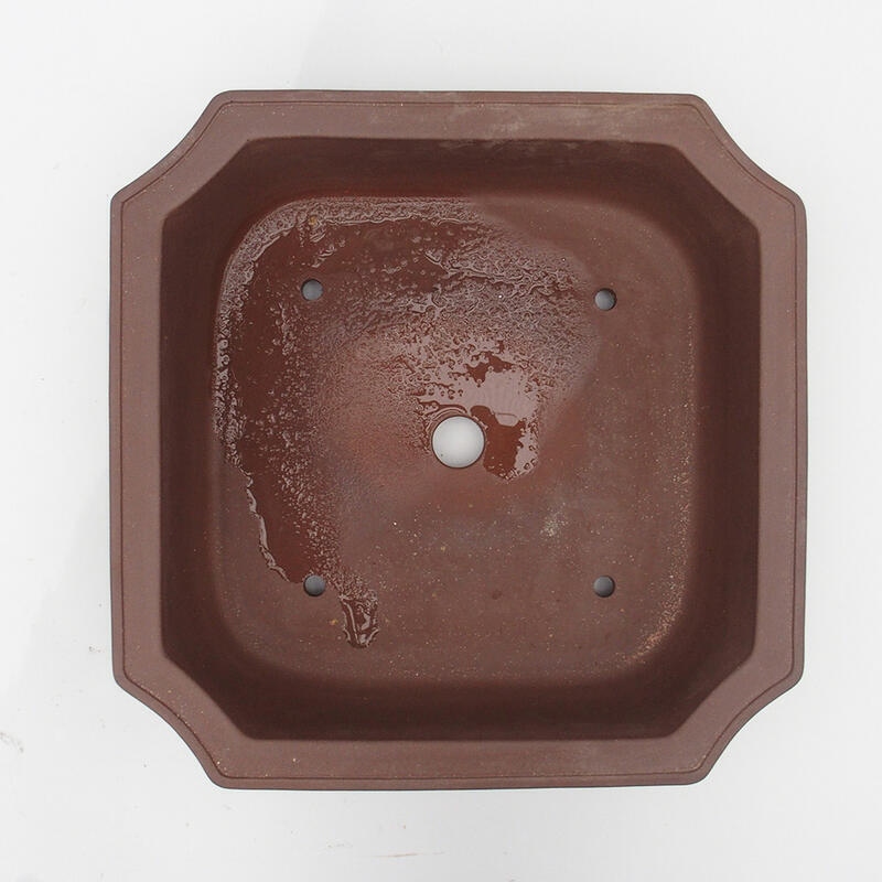 Cuenco para bonsái 35 x 35 x 10 cm - calidad japonesa