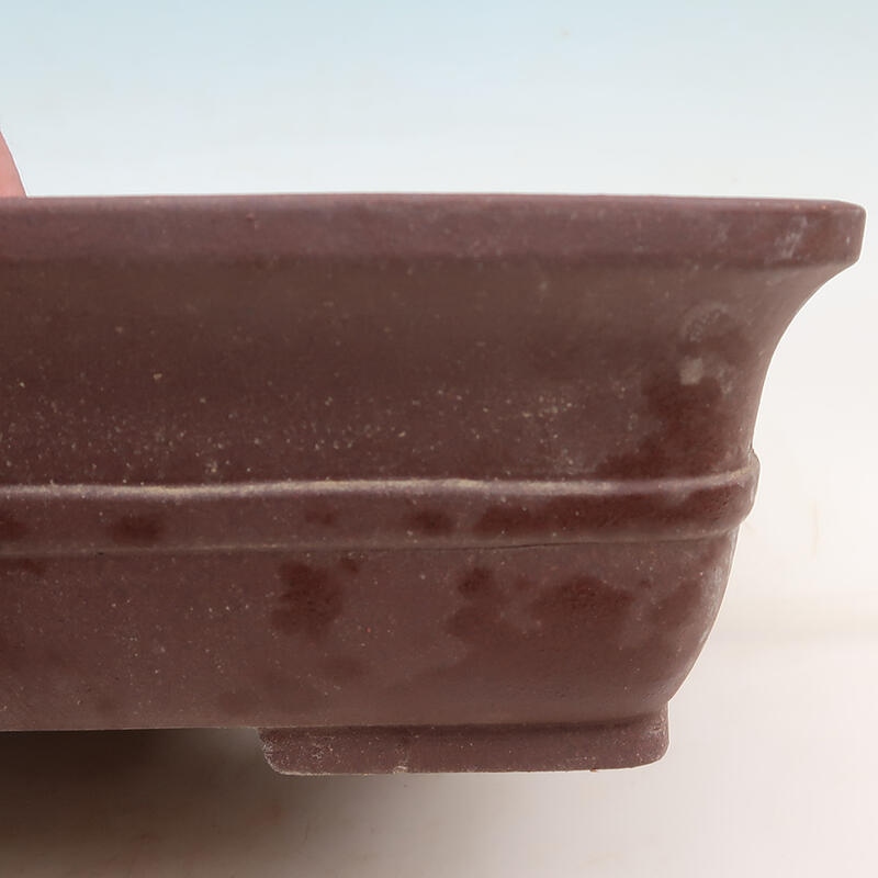 Cuenco bonsái 36,5 x 30 x 9,5 cm, color marrón