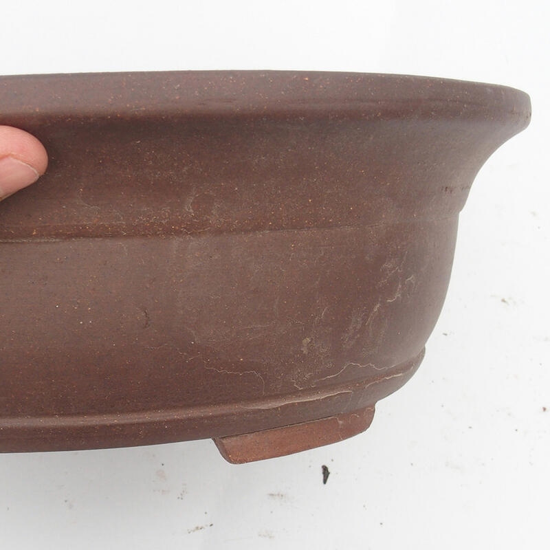 Cuenco para bonsái 36 x 31 x 12 cm - calidad japonesa