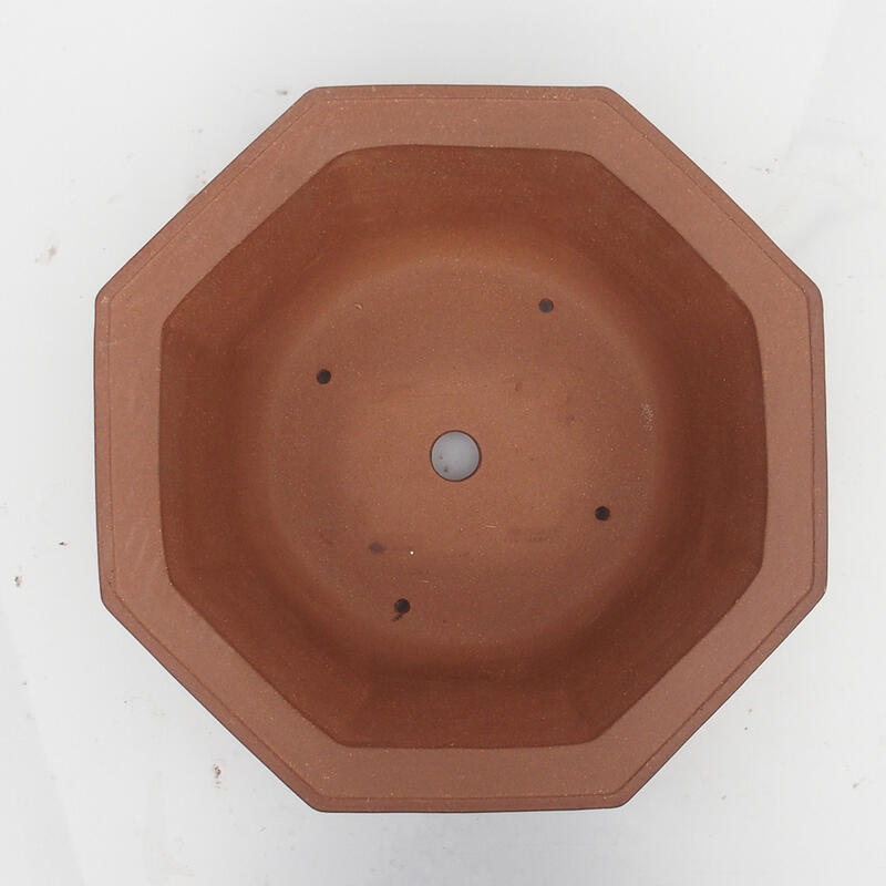 Cuenco para bonsái 36 x 34 x 12 cm - calidad japonesa