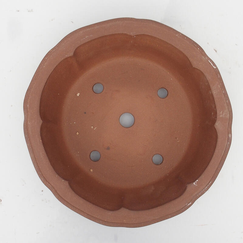 Cuenco para bonsái 36 x 36 x 10 cm - calidad japonesa