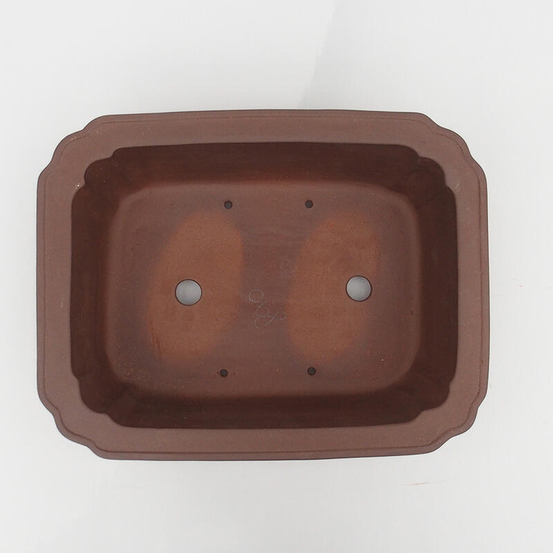 Cuenco para bonsái 37 x 28,5 x 12,5 cm - calidad japonesa