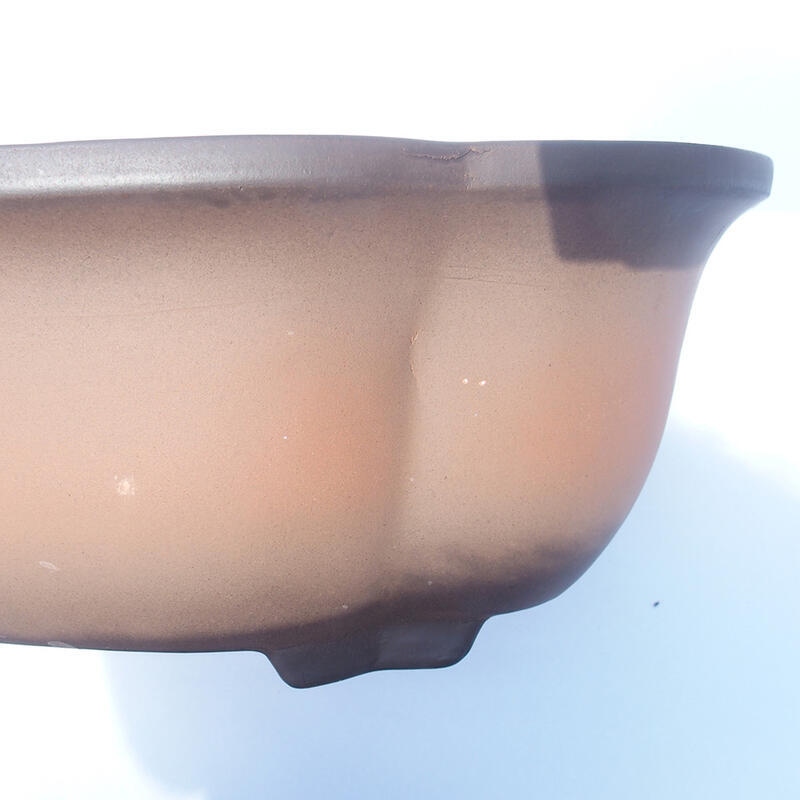 Cuenco bonsái 37 x 29 x 13 cm