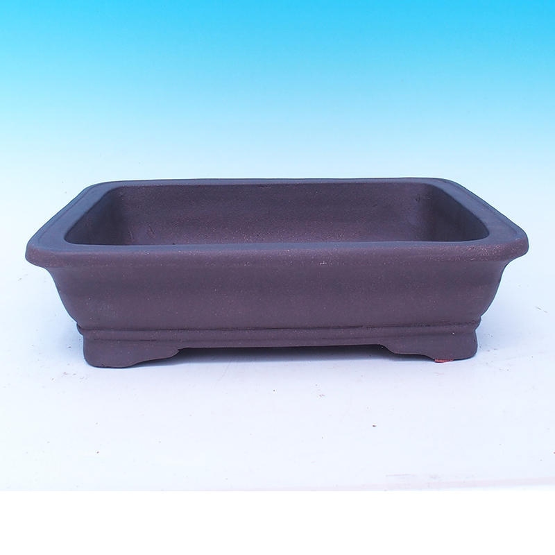 Cuenco bonsái 37 x 30 x 10 cm