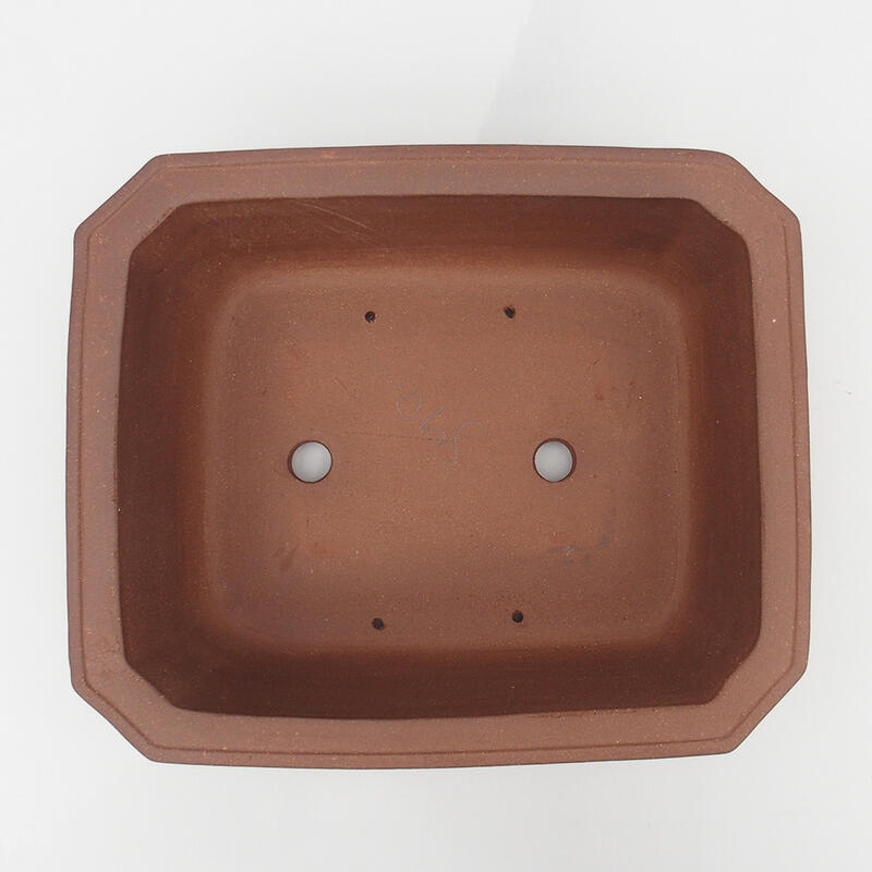 Cuenco para bonsái 37 x 31 x 12 cm - calidad japonesa