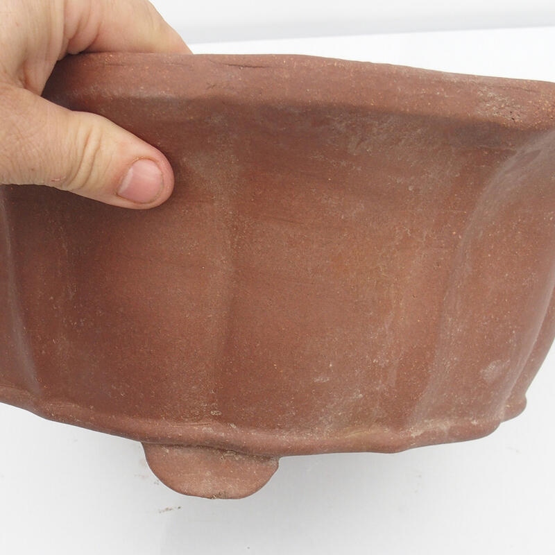 Cuenco para bonsái 37 x 37 x 11 cm - calidad japonesa