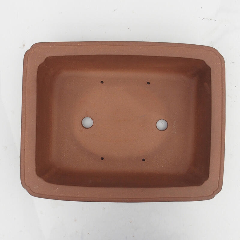 Cuenco para bonsái 38 x 30 x 11 cm - calidad japonesa