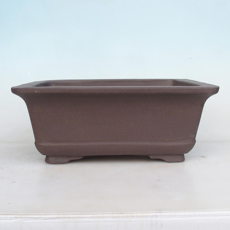 Cuenco bonsái 38 x 30 x 19 cm, color natural