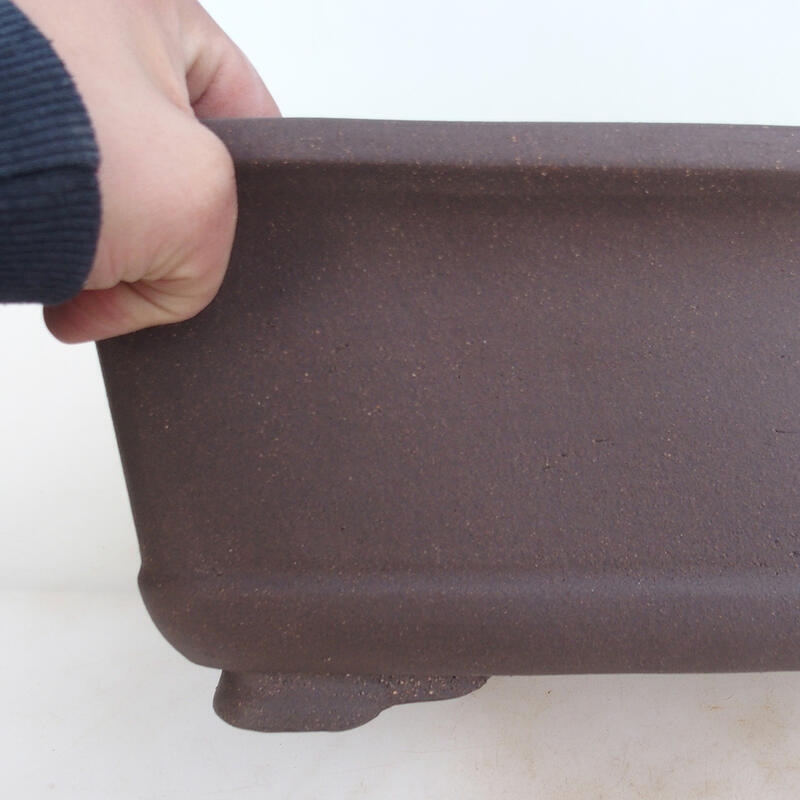 Cuenco bonsái 38 x 30 x 19 cm, color natural