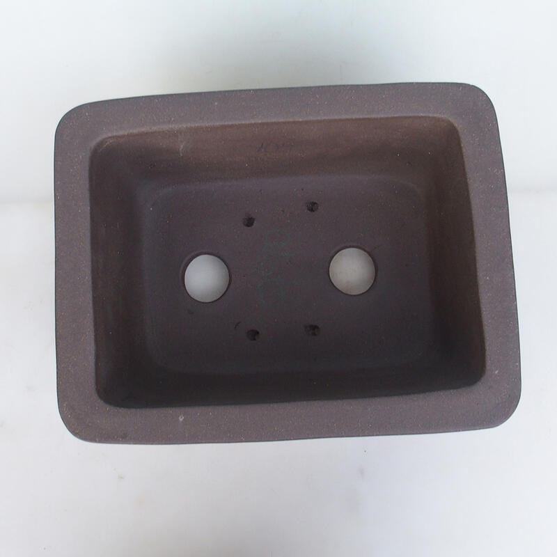 Cuenco bonsái 38 x 30 x 19 cm, color natural