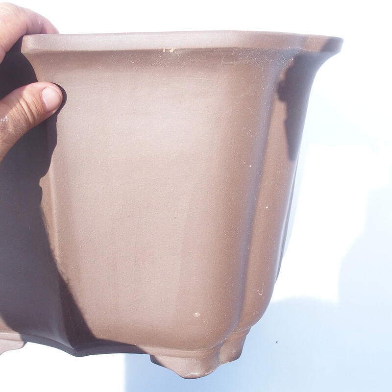 Cuenco bonsái 38 x 31 x 27 cm